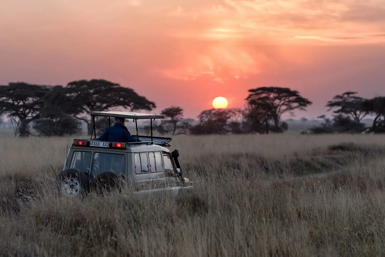 Southern African wildlife
